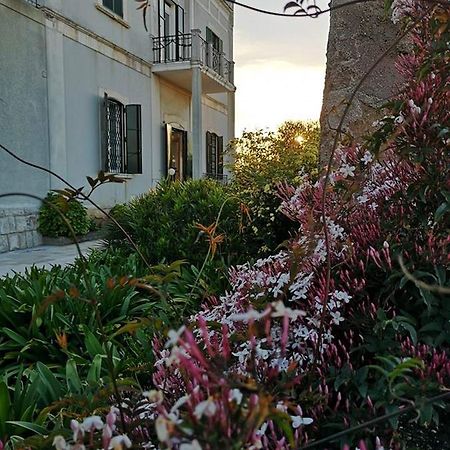 B&B Villa Maria Giovinazzo Eksteriør billede